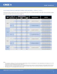 CXA2520-0000-000N00R235G Datasheet Pagina 6