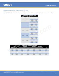 CXA2520-0000-000N00R235G Datenblatt Seite 10