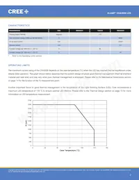 CXA3050-0000-000N0HY240H數據表 頁面 2