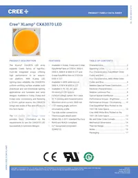 CXA3070-0000-000N0YY230G Datasheet Copertura