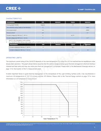 CXA3070-0000-000N0YY230G Datasheet Pagina 2