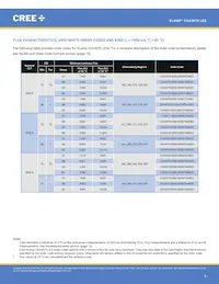 CXA3070-0000-000N0YY230G Datasheet Pagina 6