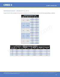 CXA3070-0000-000N0YY230G Datasheet Pagina 10