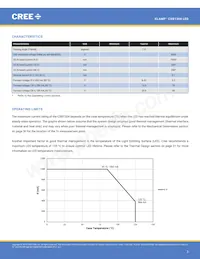 CXB1304-0000-000N0ZA430H Datasheet Pagina 3