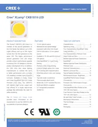 CXB1816-0000-000N0UQ240H Datasheet Copertura