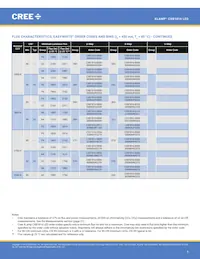 CXB1816-0000-000N0UQ240H Datasheet Pagina 5