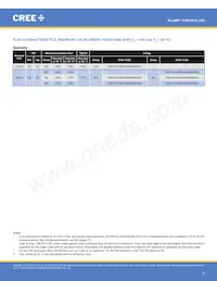 CXB1816-0000-000N0UQ240H Datasheet Pagina 6