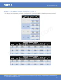 CXB1816-0000-000N0UQ240H Datasheet Pagina 11