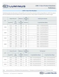 CXM-11-32-95-36-AA30-F4-3 Datasheet Pagina 5