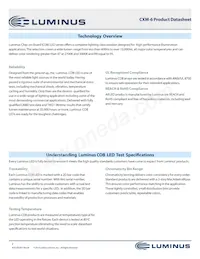 CXM-6-80-70-36-AA30-F4-5 Datasheet Pagina 2