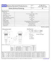 FL1M-12CJ-1-Y110V Datasheet Cover