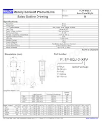 FL1P-8QJ-2-Y110V Datasheet Cover