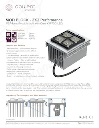 MP22T1-C24-5780-WWW-1-00 Datasheet Copertura