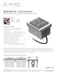 MS22T1-C22-5070-DWC-1-00 Datasheet Copertura