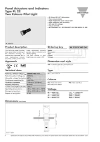 PL22STCRG24 Datasheet Cover