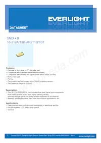 16-219A/T2D-AR2T1QY/3T Datenblatt Cover