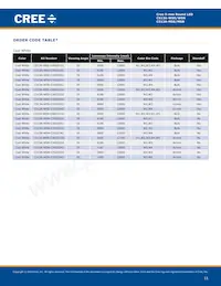 C513A-WSS-CW0Z0231 Datasheet Pagina 11