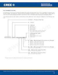 C566D-BFE-CU34Q4S1 Datasheet Page 11