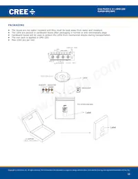 CLM2D-GPC-CB0E0783 Datasheet Pagina 10