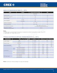 CP41A-RHS-CN0P0JJ4 Datasheet Page 2