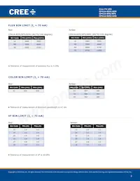 CP41A-RHS-CN0P0JJ4 Datasheet Page 3