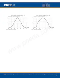 CP41A-RHS-CN0P0JJ4 Datasheet Pagina 6