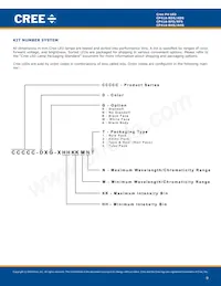 CP41A-RHS-CN0P0JJ4 Datasheet Pagina 9