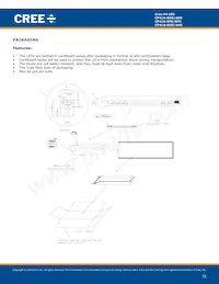 CP41A-RHS-CN0P0JJ4 Datasheet Pagina 11