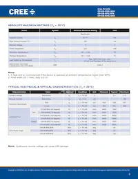 CP41B-AHS-CN0Q0454 Datasheet Pagina 2