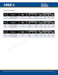 CP41B-AHS-CN0Q0454 Datasheet Pagina 4