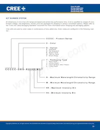 CP41B-AHS-CN0Q0454 Datasheet Pagina 10