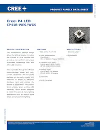 CP41B-WGS-CN0P0134 Datasheet Copertura