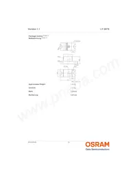 LY Q976-P1R2-36 Datasheet Pagina 10