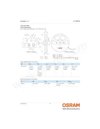 LY Q976-P1R2-36 Datasheet Pagina 14