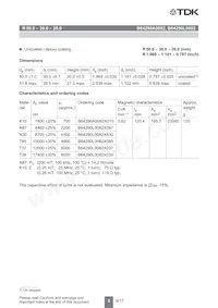 B64290A0082X010 Datasheet Pagina 2