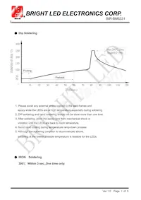 BIR-BM5331 Datenblatt Seite 3