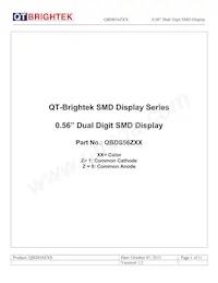 QBDS560R Datenblatt Cover