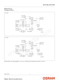 SFH 484-2 Datenblatt Seite 7