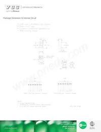 VAOS-A561S9-BW/43 Datasheet Page 3