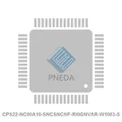 CPS22-NC00A10-SNCSNCNF-RI0GNVAR-W1003-S