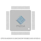 CPS19-NO00A10-SNCSNCNF-RI0BCVAR-W1029-S