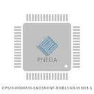 CPS19-NO00A10-SNCSNCNF-RI0BLVAR-W1001-S