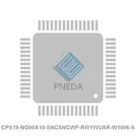 CPS19-NO00A10-SNCSNCWF-RI0YWVAR-W1006-S