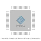 CPS19-NC00A10-SNCSNCNF-RI0GBVAR-W1008-S
