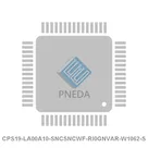 CPS19-LA00A10-SNCSNCWF-RI0GNVAR-W1062-S