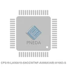 CPS19-LA00A10-SNCCWTNF-AI0MAVAR-W1063-S