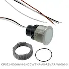 CPS22-NO00A10-SNCCWTNF-AI0RBVAR-W0000-S