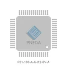 P61-100-A-A-I12-5V-A