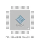 P51-1000-A-D-I12-20MA-000-000