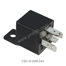 CB1-D-WM-24V